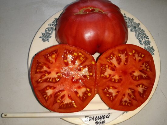 Большой зак малиновый